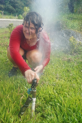 Sprinklers, just another way to cope with the heat