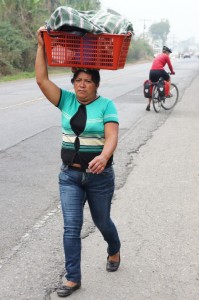 Typical site on the roads in Guatemala