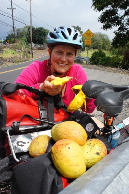 Free mangos on the side of the road! 