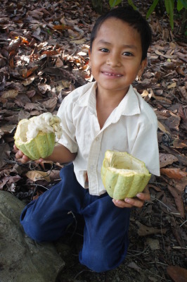 Nehimiah with the cacao he opened for us