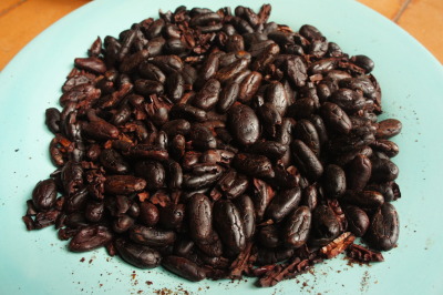 Roasted and peeled cocoa beans