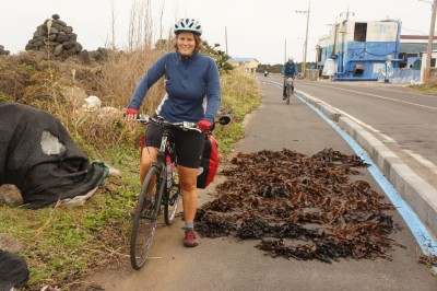 Seaweed on the bike path