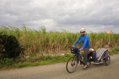 Sugar canes, Okianarabu Island 